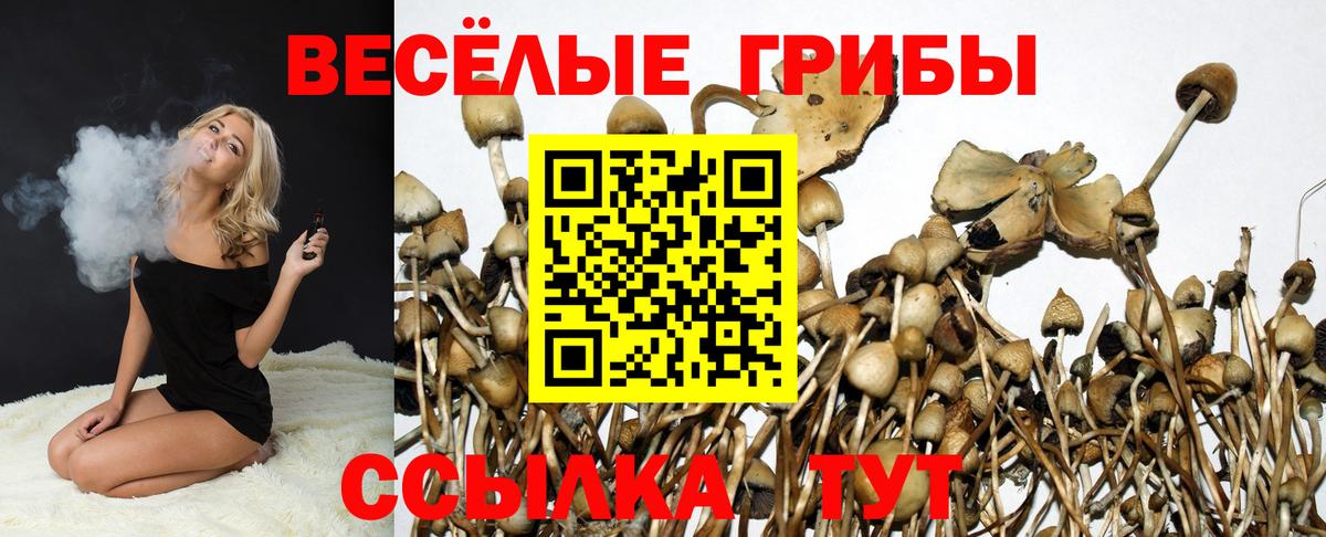 Кольчугино  Галлюциногенные грибы прущие грибы  Вход с VPN 