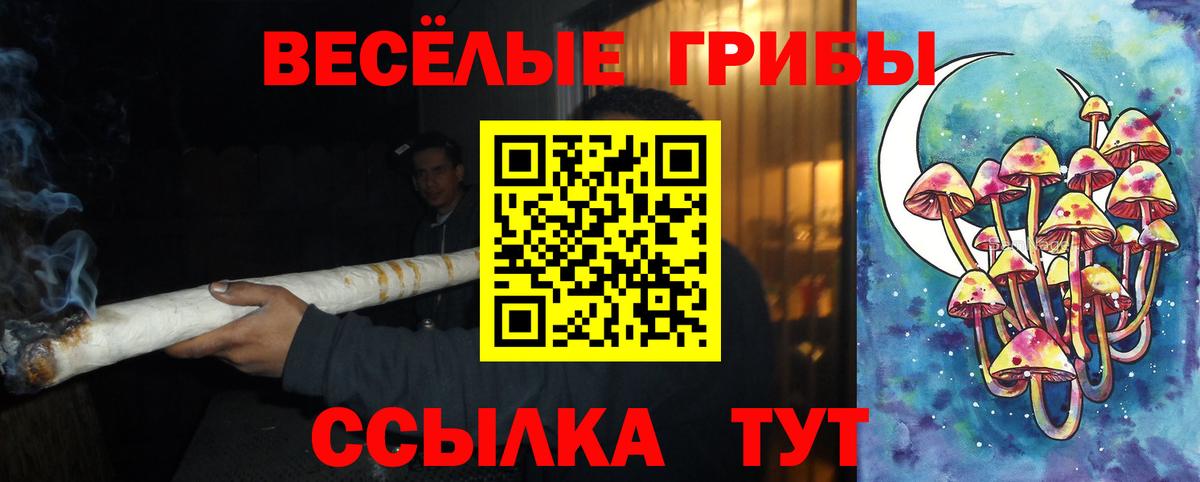 Псилоцибиновые грибы GOLDEN TEACHER Кольчугино